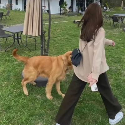 永不失联的爱